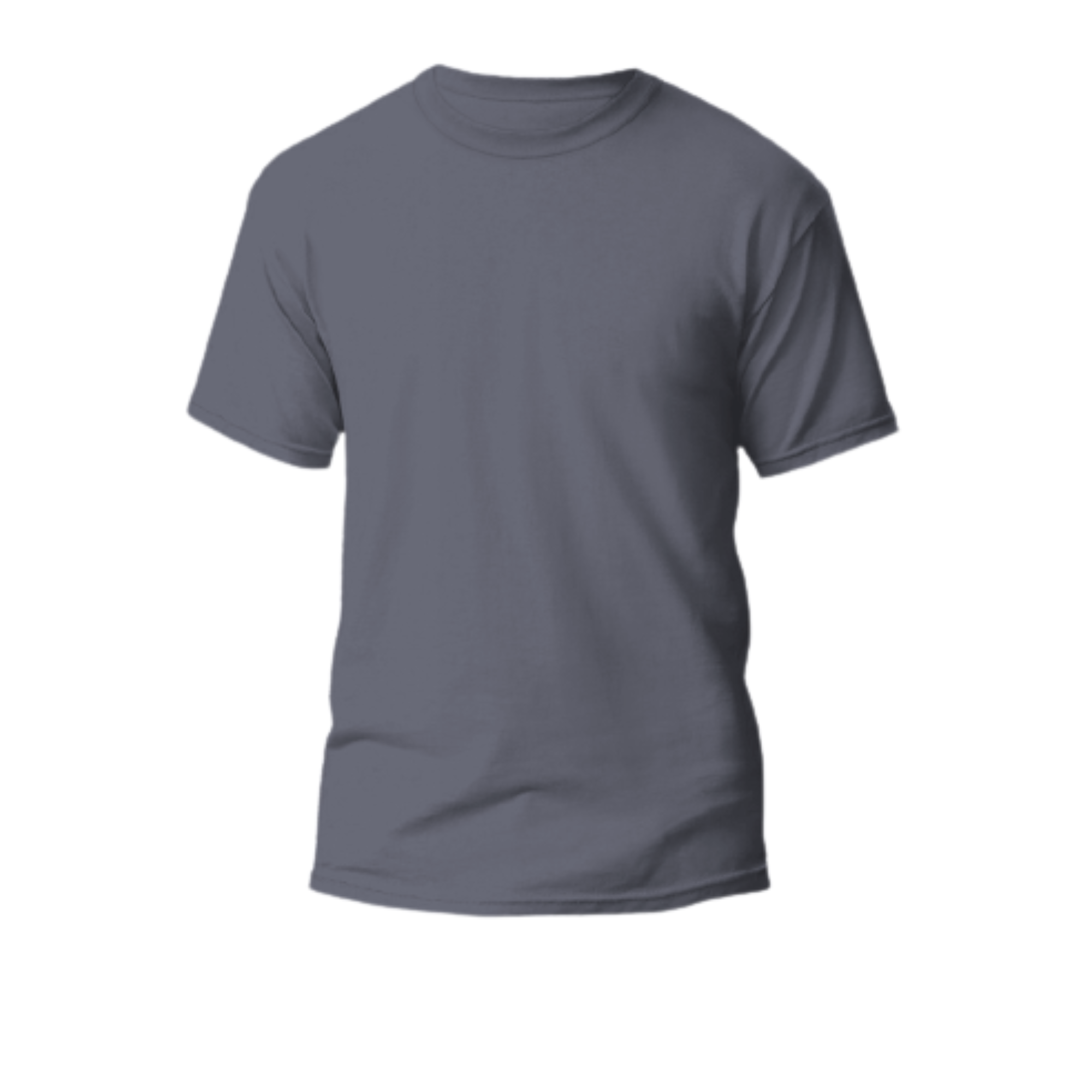 Camiseta Poliéster Adulto Gris Claro