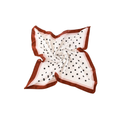 Pañuelos Mujer Seda Estampados