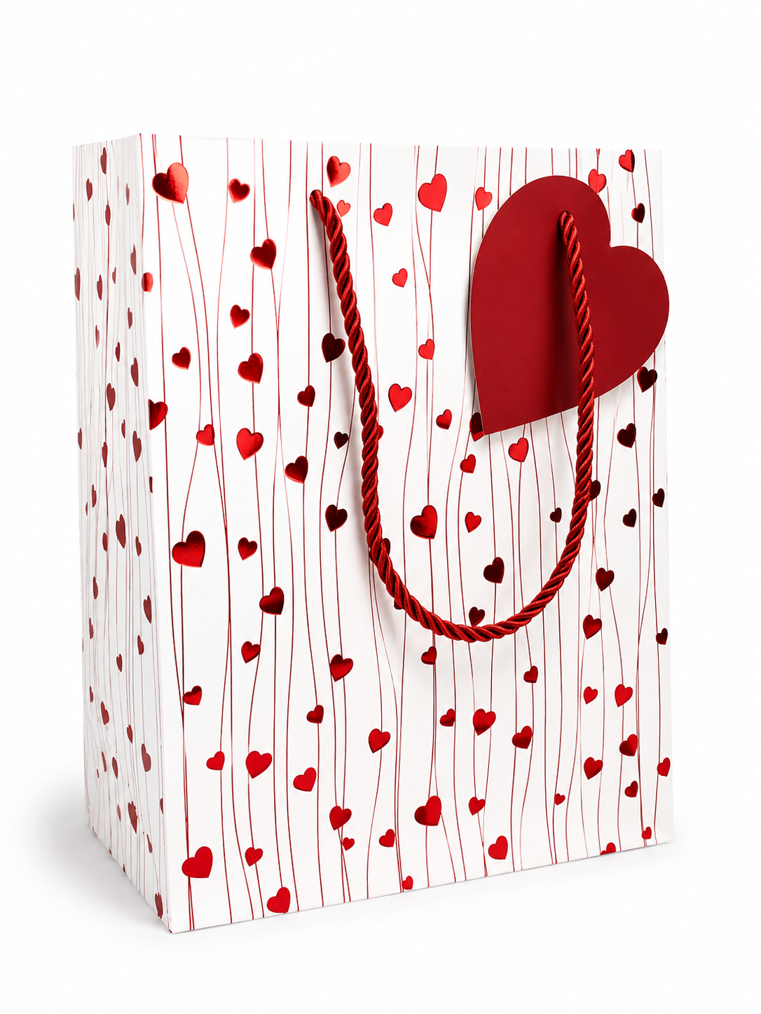 Pack 12 Bolsas Grandes de Regalo–♡