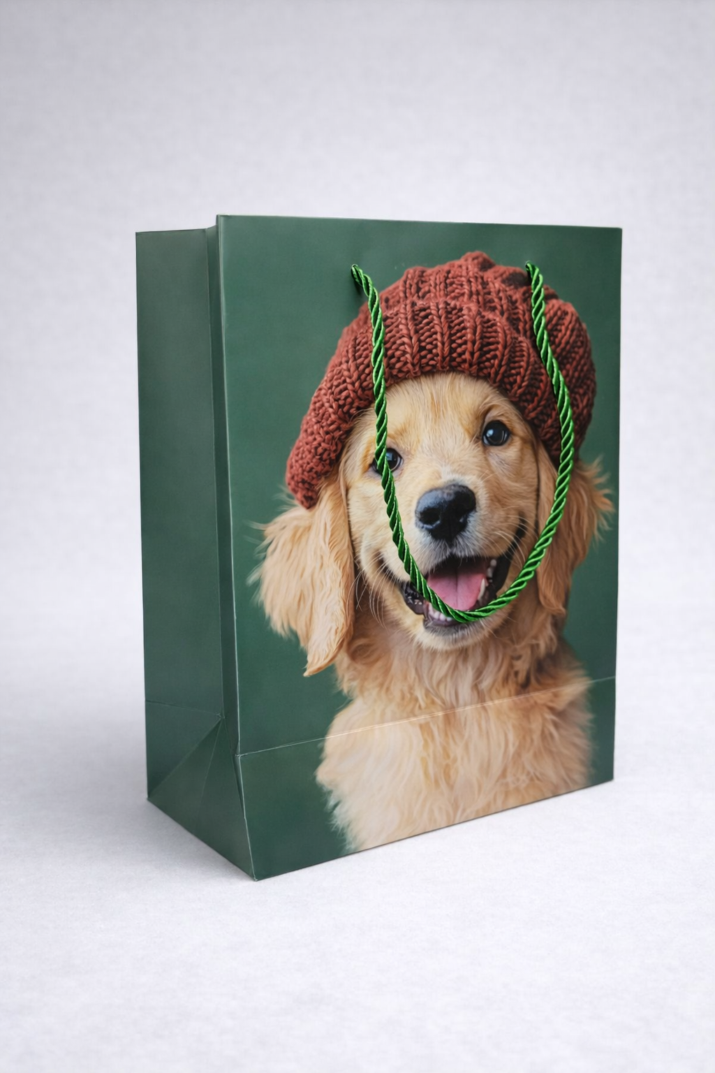 Pack 12 Bolsas Medianas de Regalo-Animales